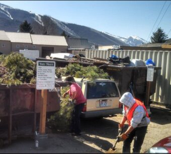 Yard Waste Dumpster Services-Loveland Premier Dumpster Rental Services